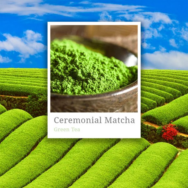 Ceremonial Grade Matcha Fuji Speciality Tea and Coffee