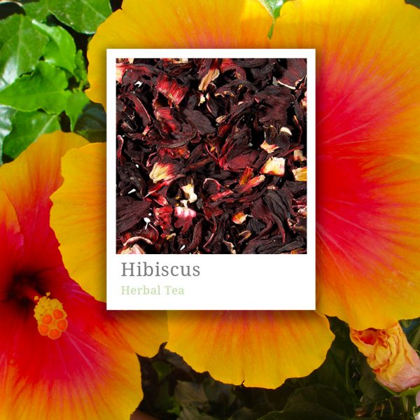 Hibiscus Tea Fuji Speciality Tea and Coffee
